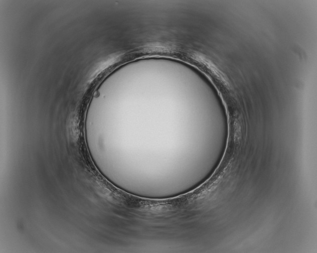 X0000111781213200908061108