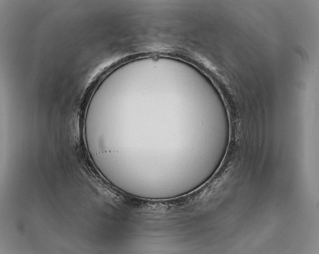 X0000111781214200908061108