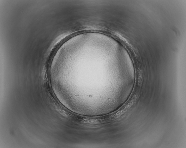 X0000111781215200908061108