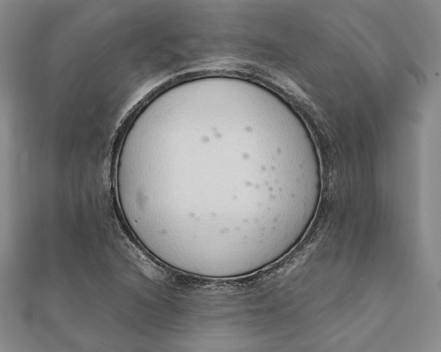 X0000111781216200908061108