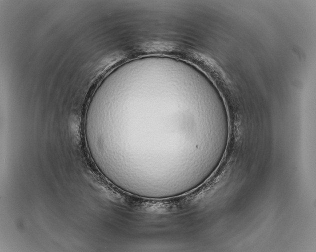 X0000111781217200908061108