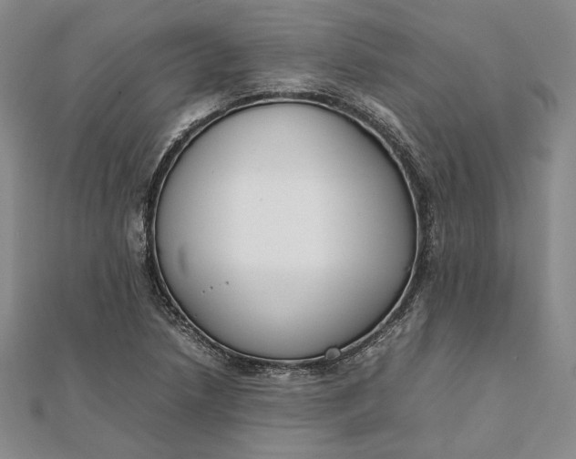 X0000111781218200908061108
