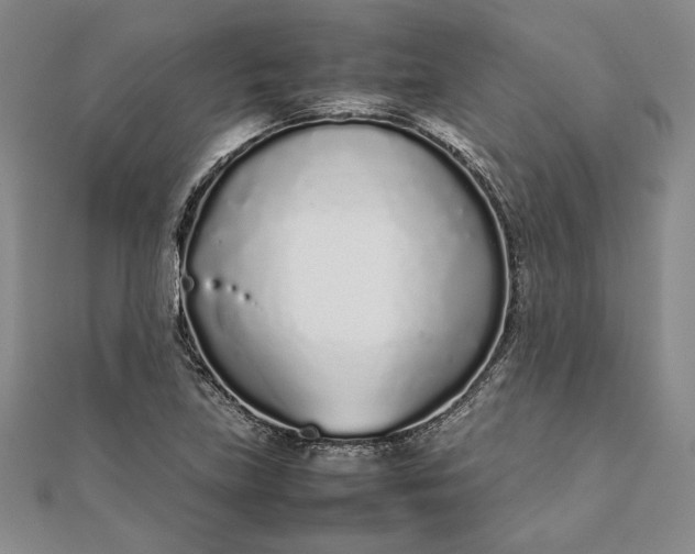 X0000111781219200908061108
