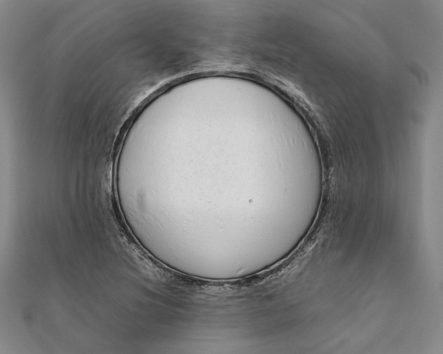 X0000111781220200908061108