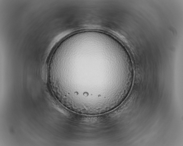 X0000111781223200908061108