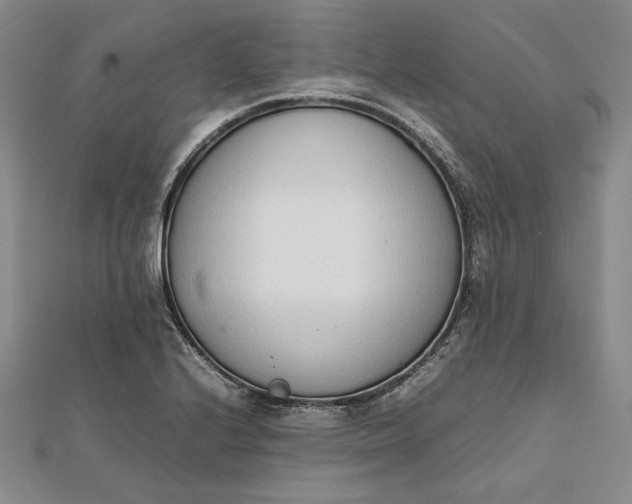 X0000111781224200908061108
