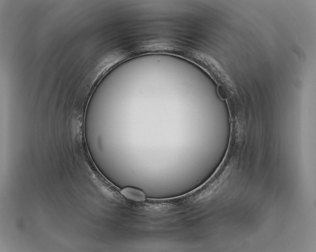 X0000111781225200908061108