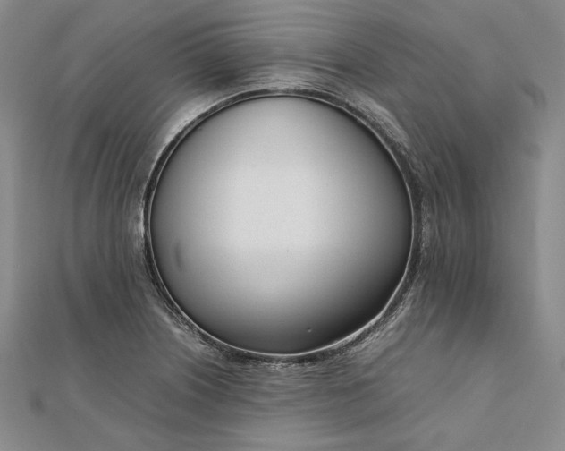 X0000111781226200908061108