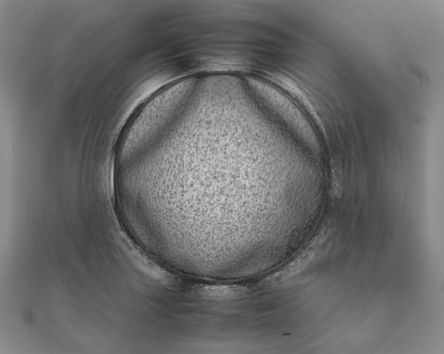 X0000111781227200908061108