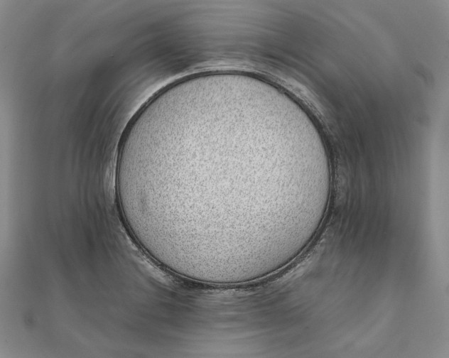 X0000111781228200908061108