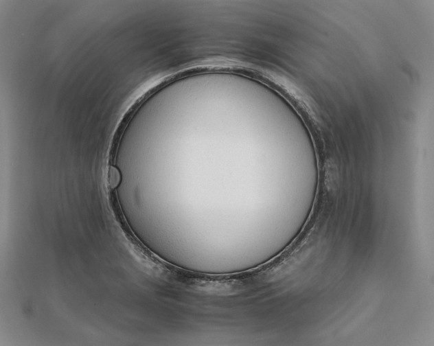 X0000111781229200908061108