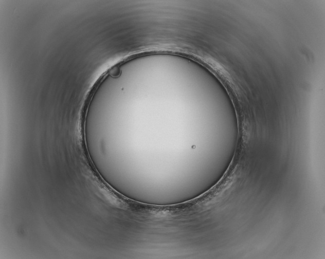 X0000111781230200908061108