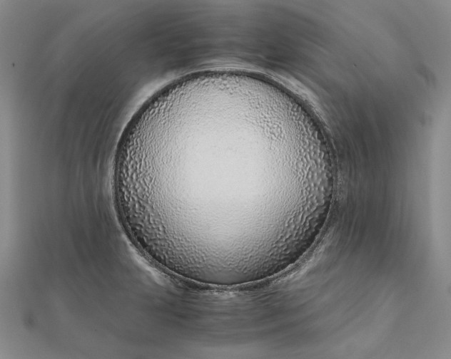 X0000111781231200908061108