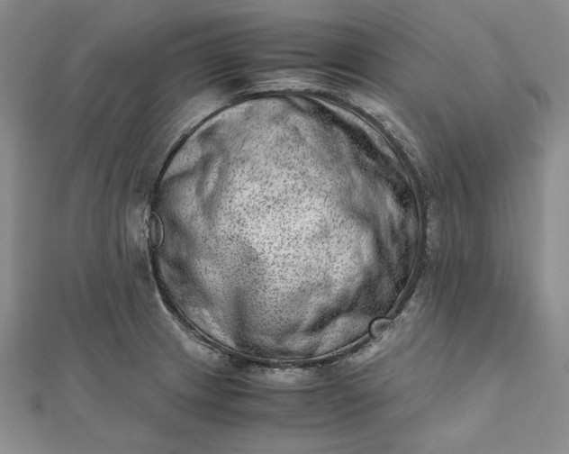 X0000111781233200908061108