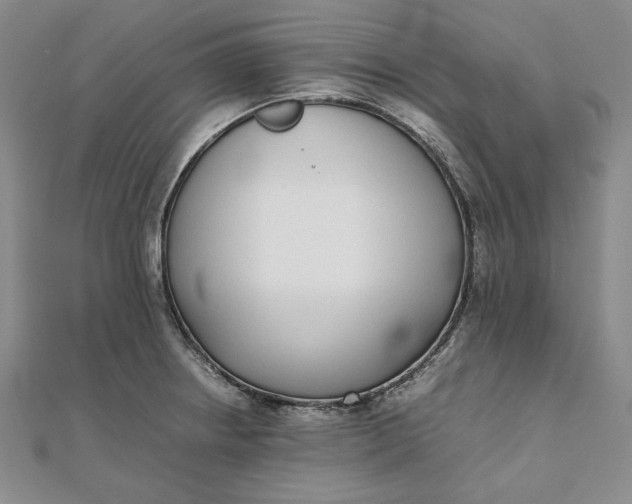 X0000111781234200908061108