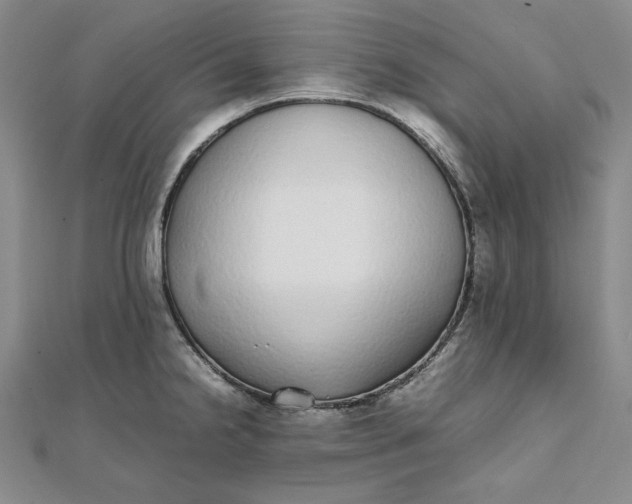 X0000111781238200908061108