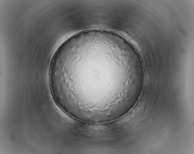 X0000111781239200908061108