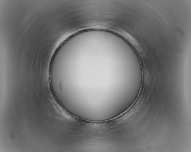 X0000111781240200908061108