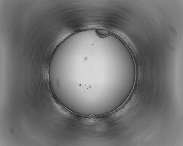 X0000111781241200908061108