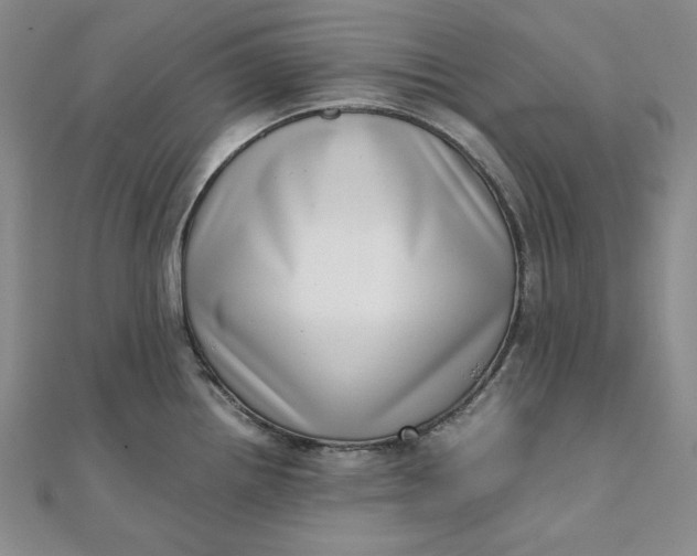 X0000111781242200908061108