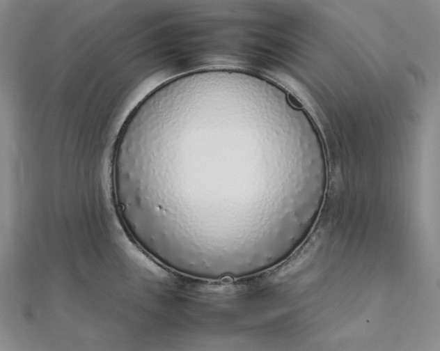 X0000111781243200908061108