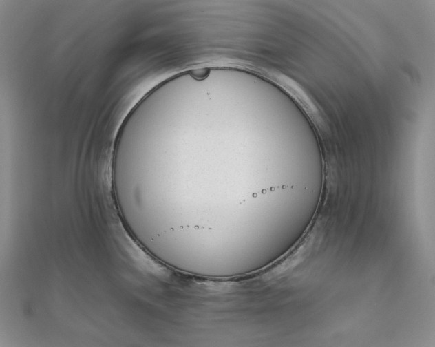 X0000111781244200908061108