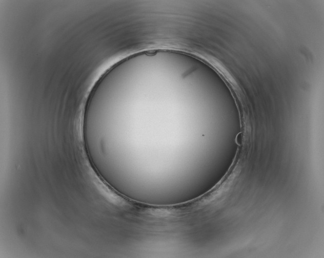 X0000111781246200908061108