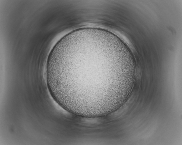 X0000111781247200908061108