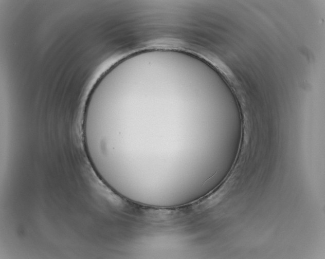 X0000111781248200908061108