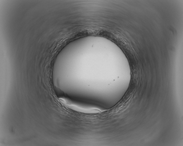 X0000111781249200908061107