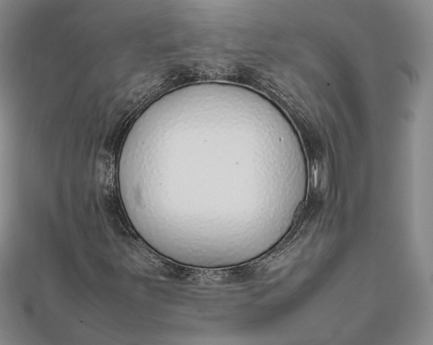 X0000111781251200908061107