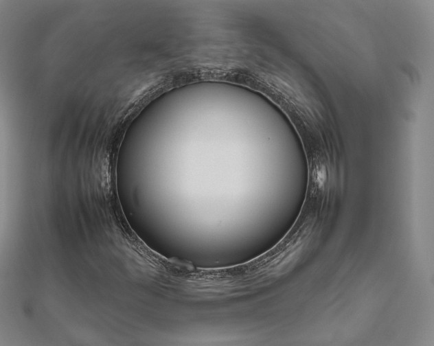 X0000111781252200908061107