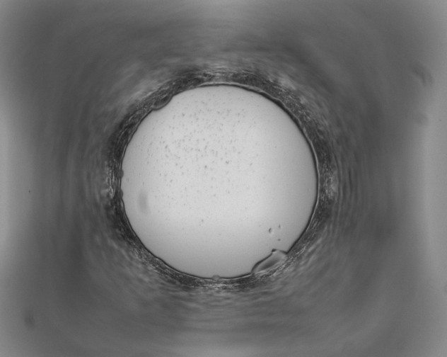 X0000111781253200908061107