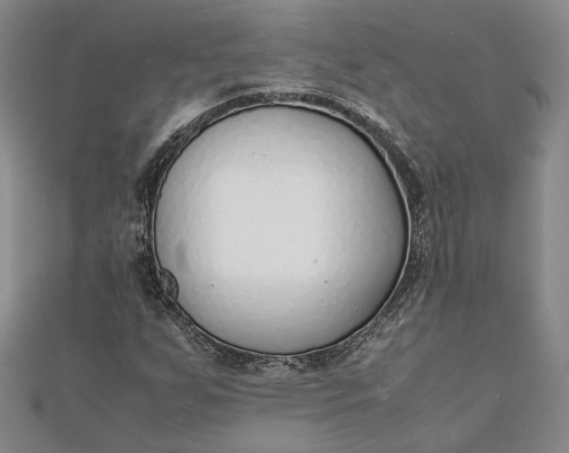 X0000111781255200908061107