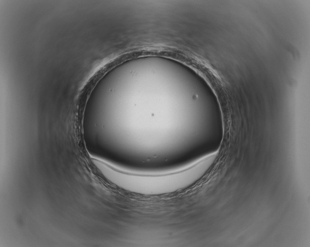 X0000111781256200908061107