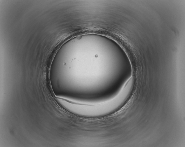 X0000111781257200908061107