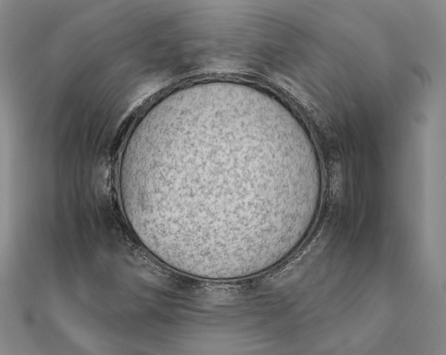 X0000111781258200908061107