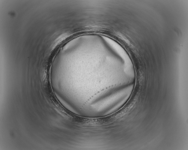 X0000111781259200908061107