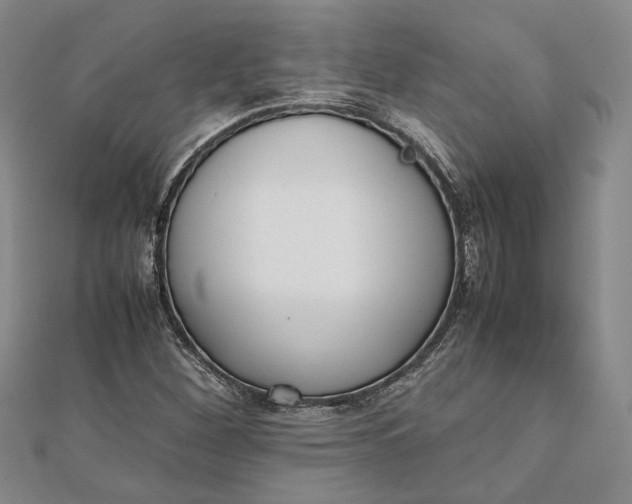 X0000111781260200908061107