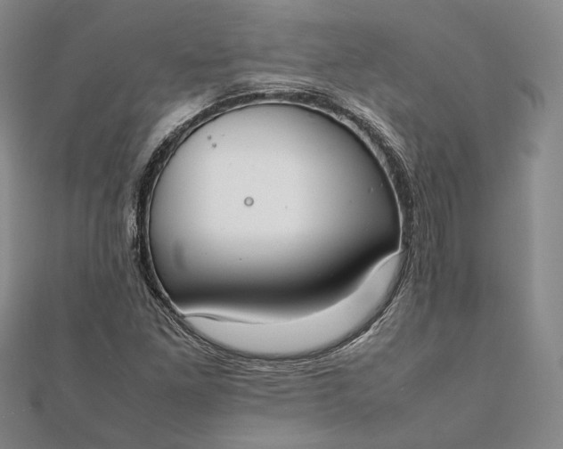 X0000111781261200908061107