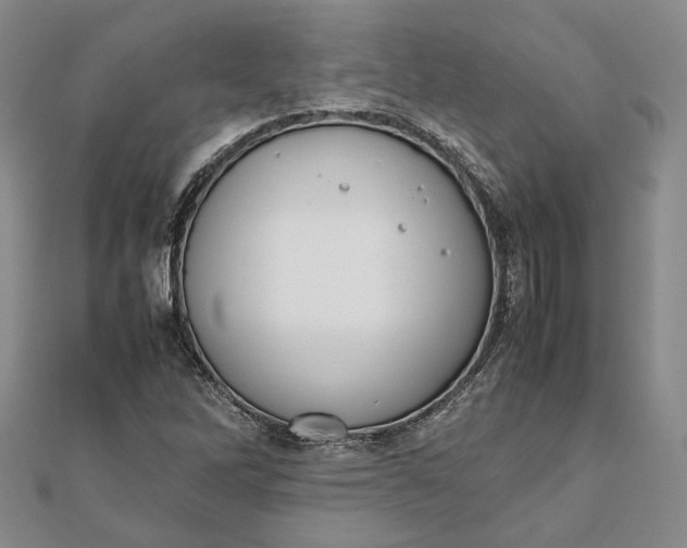 X0000111781262200908061107