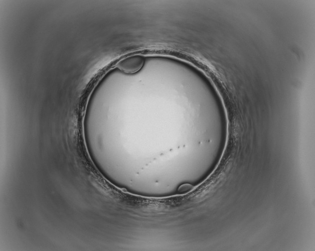 X0000111781263200908061107