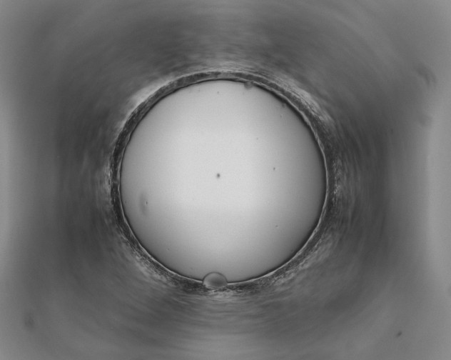X0000111781264200908061107