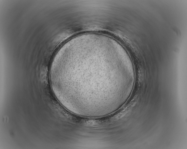 X0000111781265200908061107