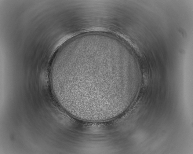 X0000111781266200908061107