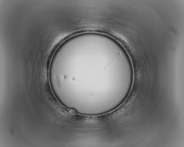 X0000111781267200908061107