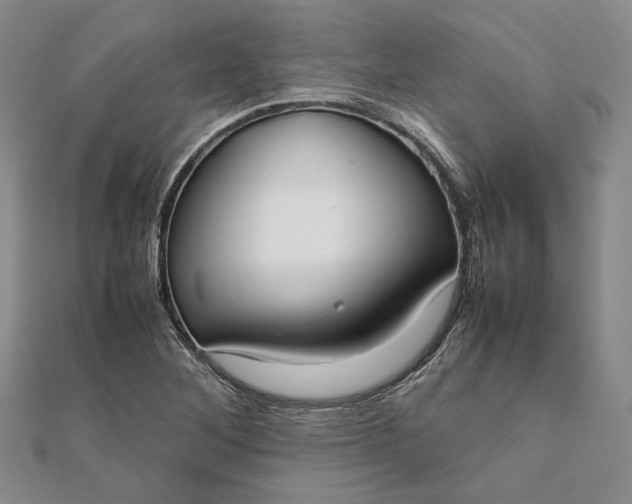 X0000111781268200908061107
