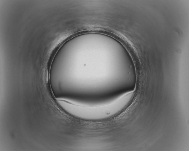 X0000111781269200908061107