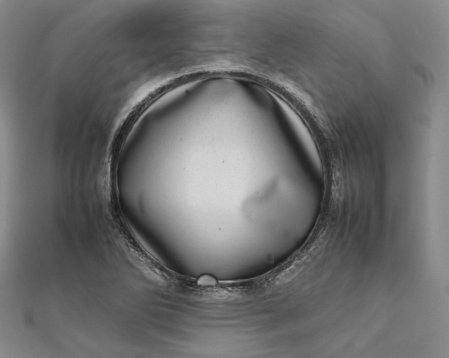 X0000111781270200908061107
