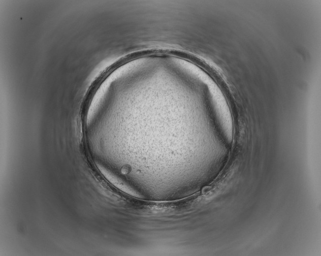 X0000111781271200908061107